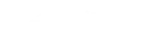 Virtnox Wordmark